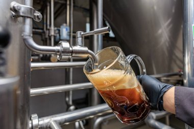 Bira fabrikasında koyu bira: endüstriyel paslanmaz çelik ekipman ve taze içecek.