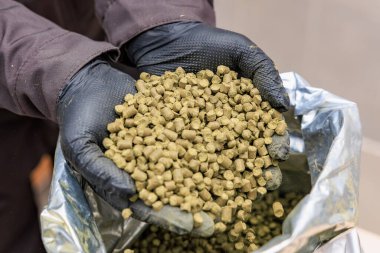 Eldivenli ellerin yakın plan çekimlerinde demlenmek için folyo torbasında yeşil zıplama topları var..