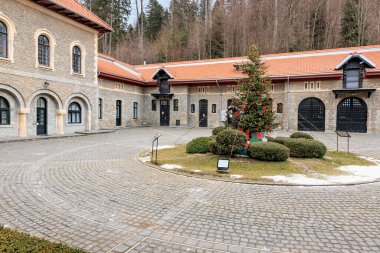 Kırmızı beyaz binası ve Noel ağacı olan bir avlu. 15 Aralık 2024 Busteni Romanya.