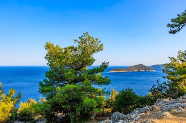 Uzakta küçük bir adası olan güzel mavi bir okyanus. Ağaçlar yeşil ve gökyüzü berrak