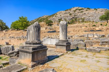 Arka planda mavi gökyüzü olan bir tarlada iki sütun duruyor. Sütunlar eski ve eski zamanlardan kalma gibi görünüyorlar. Yunanistan 'ın antik Filippi kentinin kalıntıları