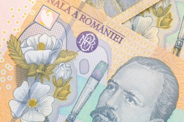 Sanat ve çiçek tasarımı içeren Romanya para birimine yakın plan.