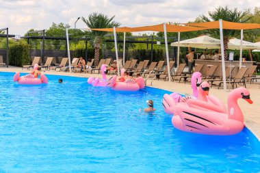 Bir grup insan pembe şişme flamingo şamandıralarda havuzda yüzüyorlar. Havuz şezlonglar ve şemsiyelerle çevrilidir. 8 Haziran 2024 Balti Moldova