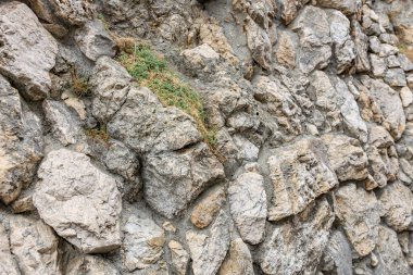 Çimlerin çatladığı engebeli taş bir duvar..