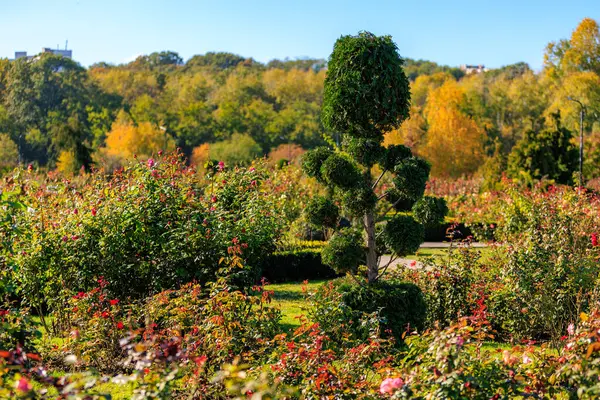 Ortasında büyük bir ağaç olan güzel bir bahçe. Ağaç birçok çiçek ve çalılarla çevrilidir. Bahçe hayat ve renklerle dolu. Huzurlu ve huzurlu bir atmosfer yaratıyor.
