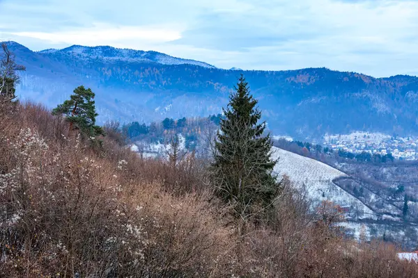 Önünde çam ağacı olan karlı bir dağ sırası. Gökyüzü bulutlu ve manzara huzurlu ve huzurlu.