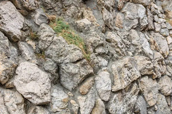 Çimlerin çatladığı engebeli taş bir duvar..