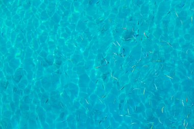 İçinde balıkların yüzdüğü mavi bir okyanus. Balıklar suyun her tarafına dağılmış, bazıları yüzeye daha yakın, bazıları ise daha derinde. Huzurlu ve huzurlu bir sahne.