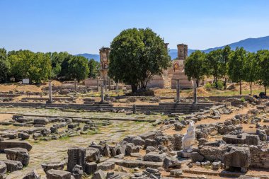 Büyük bir ağaç kayalardan oluşan bir tarlanın ortasında duruyor. Sahne huzurlu ve sakin, ağaçlar sükunet ve sükunet hissi veriyor. Yunanistan 'ın antik Filippi kentinin kalıntıları