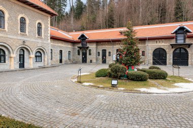 Arka planda bina olan bir avlu. 15 Aralık 2024 Busteni Romanya.