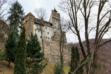 Kale arka planda ağaçlar olan bir tepede. 16 Aralık 2024 Bran Romanya.
