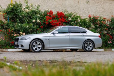 Güneşli bir günde renkli gül çalılarının yanına park edilmiş gümüş bir sedan. 29 Haziran 2023 Beltsy Moldova.