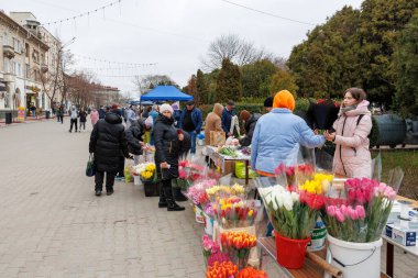 7 Mart 2024 Balti Moldova. İllüstrasyon başyazısı. Bahar tatili için çiçek fuarı