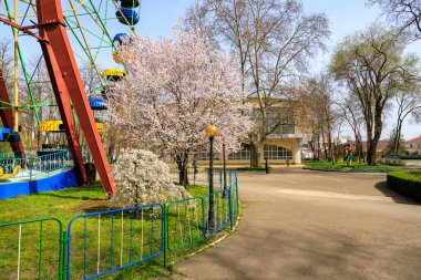 Çocuk parkı ve dönme dolabı olan bir park. Dönme dolap kırmızı ve sarıdır. Park ağaçlarla dolu ve bir sürü yeşilliği var. 1 Nisan 2024 Balti Moldova