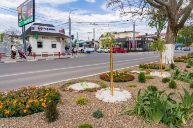 12 Mayıs 2023 Beltsy, Moldova. Resimli editör kullanımı için. Şehir çiçek tarhları