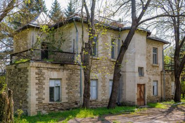 Güneşli bahar aylarında ağaçlarla çevrili eski taş ev..