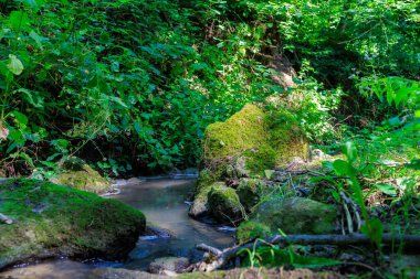 Kayalarda yosun yetişen bir ormanın içinden bir su akıntısı akar. Su temiz, yosun da yeşil. Sahne huzurlu ve sakin, suyun sesiyle.