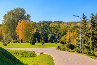 Patikası ve ağaçları olan bir park. Ağaçlar yeşil ve sarı. Gökyüzü mavi