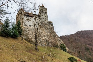 Kale bir tepenin üzerinde, önünde bir ağaç var. 16 Aralık 2024 Bran Romanya.