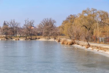 Sahil şeridi boyunca donmuş göl ve çıplak ağaçlarla sakin bir kış manzarası. 22 Şubat 2025 Balti Moldova.
