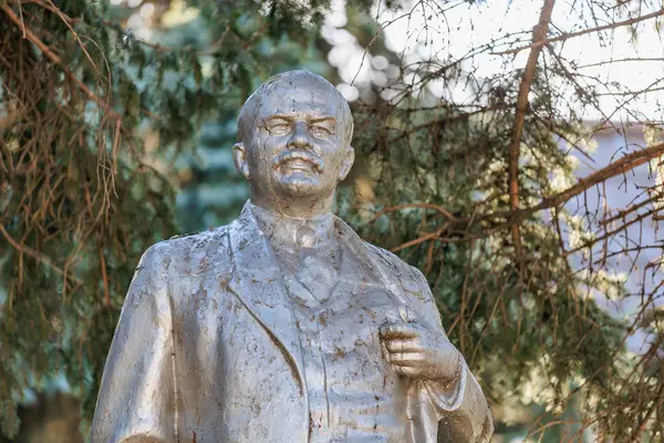 Doğada ağaçlı yaşlı erkek figürünün bronz heykeli, Lenin. 13 Ekim 2024 Basarabeasca Moldova.