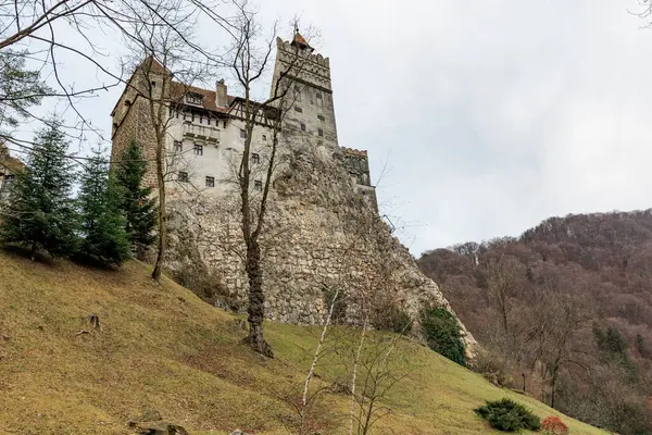 Kale bir tepenin üzerinde, önünde bir ağaç var. 16 Aralık 2024 Bran Romanya.