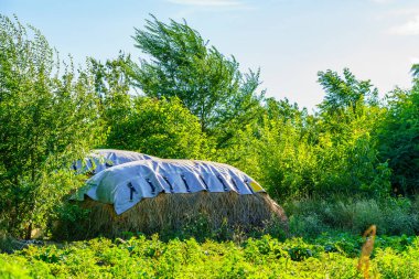 Ortasında büyük bir saman yığını olan yeşil bir ot tarlası. Samanlar beyaz bir muşambayla kaplıdır.