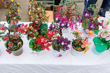 Çiçekli ve yapraklı bir sürü küçük saksı bitkisi olan bir masa. Bitkiler farklı renk ve boyutlarda.