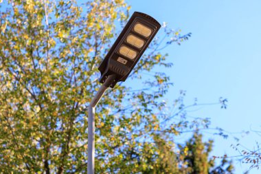 Gündüz vakti bir sokak lambası yanıyor. Işık bir direğin üzerinde ve ağaçlarla çevrili. Gökyüzü açık ve mavi