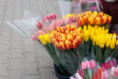 Kaldırımda bir buket çiçek sergilenir. Çiçekler plastik poşetlerde ve onları renkli bir buket gibi gösterecek şekilde düzenlenmiş. Çiçekler farklı renklerde.