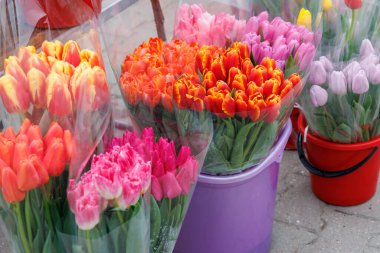 Bir demet çiçek mor bir kovada sergilenir. Çiçekler pembe, turuncu ve mor olmak üzere farklı renklerdedir. Anlaşma, yakında kırmızı bir kova bulunan bir pazar ortamında.