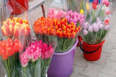 Bir demet çiçek mor bir kovada. Çiçeklerin çok farklı renkleri vardır, pembe, turuncu ve mor.