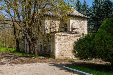 Güneşli bir günde ağaçlarla çevrili eski taş bir ev..