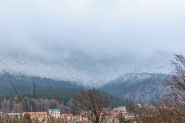 Karla kaplı ağaçlarla kaplı tuhaf bir kasabaya bakan puslu bir dağ sırası..