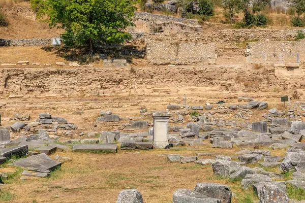 Arka planda ağaç olan taş bir duvar. Taş duvar eski ve bir sürü taşı var. Yunanistan 'ın antik Filippi kentinin kalıntıları