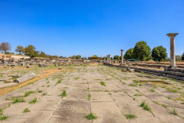 Birkaç ağaç ve birkaç sütunun olduğu geniş açık bir alan. Gökyüzü mavi ve çimenler yeşil. Yunanistan 'ın antik Filippi kentinin kalıntıları