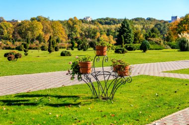 Metal çardağı ve üç saksı bitkisi olan küçük bir bahçe. Bitkiler farklı boyutlarda ve kafeslere yerleştirilmiş. Bahçe tuğla bir patikayla çevrili ve çimenli bir alanı var.