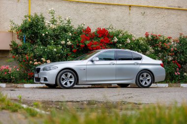 Şehir caddesinde canlı gül çalılarının önüne park edilmiş gümüş bir sedan. 29 Haziran 2023 Beltsy Moldova.