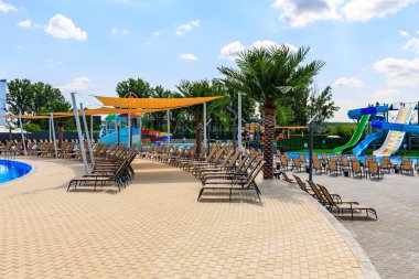 Havuzu ve palmiyesi olan bir sahil. Bir sürü şezlong ve şemsiye var. 8 Haziran 2024 Balti Moldova