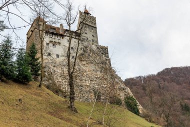 Romanya 'da bulutlu bir gökyüzüne karşı ortaçağ mimarisi olan görkemli kepek şatosu.