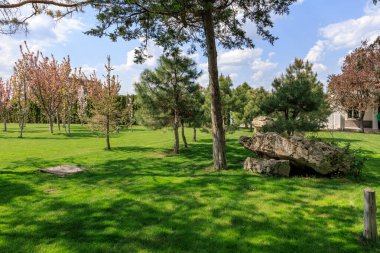 Bereketli yeşil çimenleri ve mavi gökyüzünün altındaki ağaçları olan huzurlu bir park..