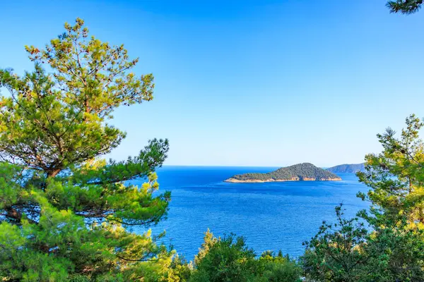 Uzakta küçük bir adası olan güzel mavi bir okyanus. Gökyüzü açık ve güneş ışıl ışıl parlıyor. Arka plandaki ağaçlar huzur ve sükunet hissi veriyor.