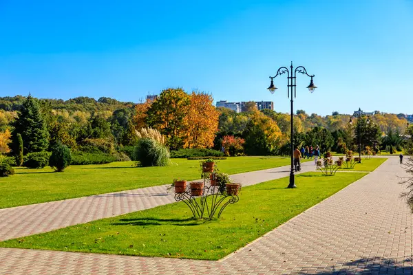 Tuğla yolu ve birkaç saksı bitkisi olan bir park. Geçit ağaçlarla kaplı ve gökyüzü açık ve mavi.