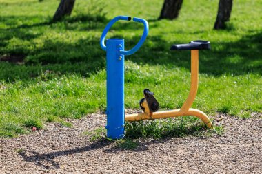 Güneşli bir günde yeşil alanda açık hava parkı egzersiz ekipmanları.