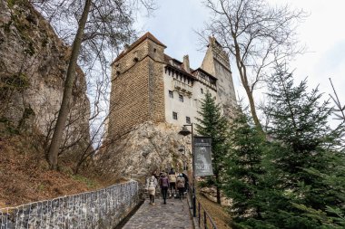 Bir grup insan bir şatonun önündeki taş bir merdivenden yukarı çıkıyorlar. 16 Aralık 2024 Bran Romanya.
