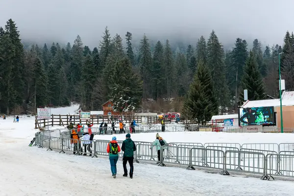 Kış Harikalar Diyarı insanların manzaralı ormanlarda kar aktivitelerinin tadını çıkardıkları bir yer. 15 Aralık 2024 'te Romanya.