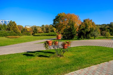 Üstünde tencere olan küçük bir ağaç bir parktadır. Park binalarla çevrili ve tuğla bir geçidi var. Gökyüzü mavi ve hiç bulut yok.
