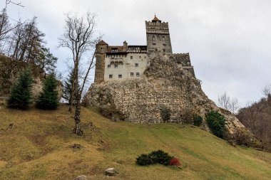 Ormanın ortasındaki Rocky Hill 'deki görkemli ortaçağ kalesi..