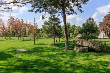 Bereketli bir bahar parkı, yemyeşil, ağaçlar ve mavi gökyüzünün altındaki kayalar..