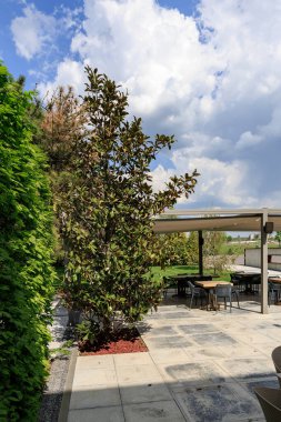 Mavi gökyüzü ve bulutların altında manolya ağacı olan açık hava terası..